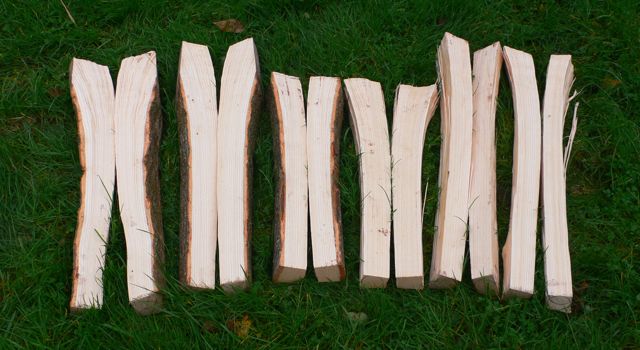 6 pairs of front legs