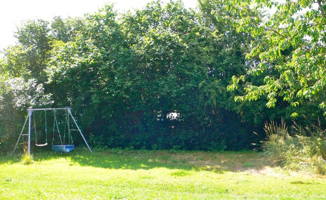 The site for the new shelter