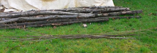 Hazel rods alongside the chestnut poles