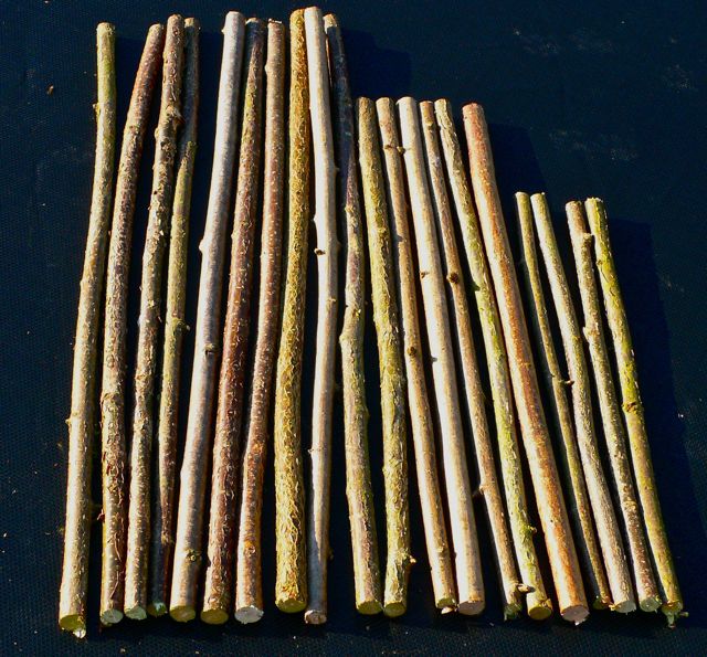 Hazel rods cut to length