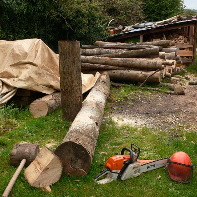 A perfect length of ash among my firewood pile